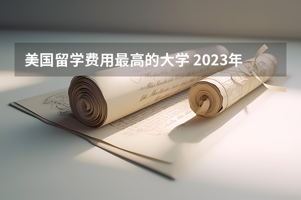 美国留学费用最高的大学 2023年美国留学费用预算需要多少钱