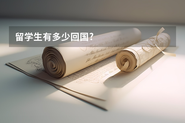 留学生有多少回国?